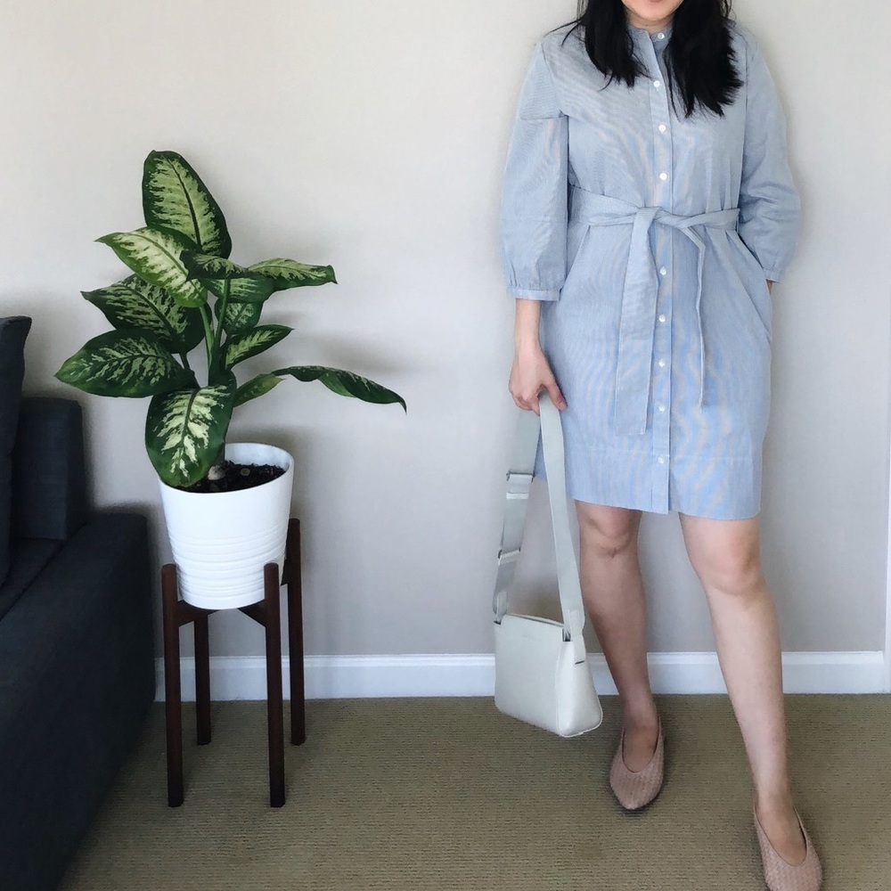 Everlane Cotton Weave Collarless Shirt Dress in Pinstripe Blue and White